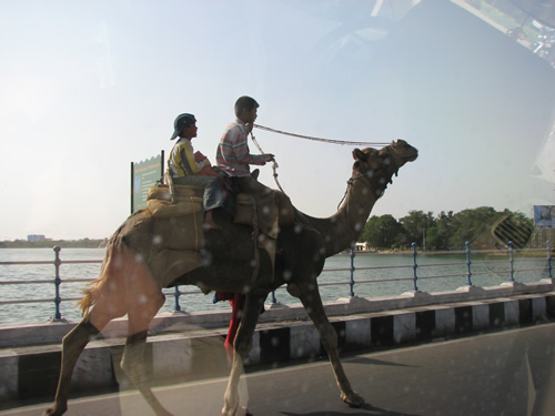 Hyderabad