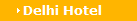 Delhi Hotel