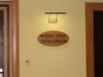 CIMG3511