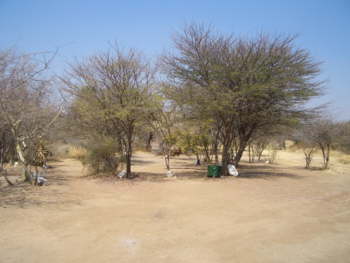 CIMG5515