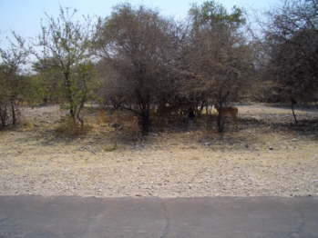 CIMG5568