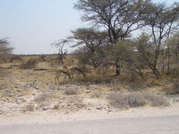 CIMG5570
