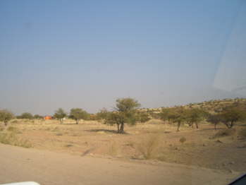 CIMG5685