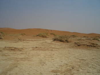CIMG5880