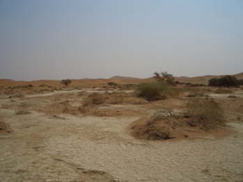 CIMG5881