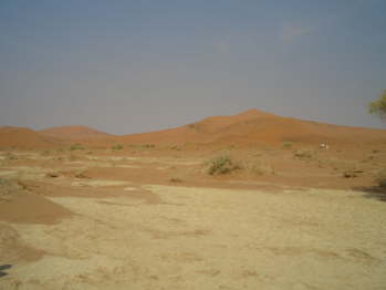 CIMG5882