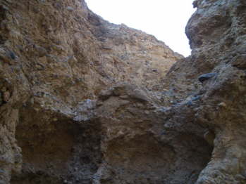 CIMG5886