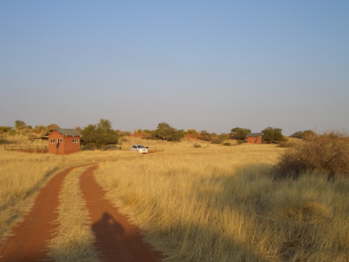 CIMG6260