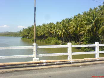DSC00323