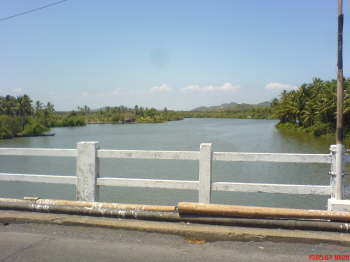 DSC00324