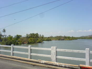 DSC00325