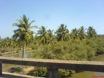 DSC00331