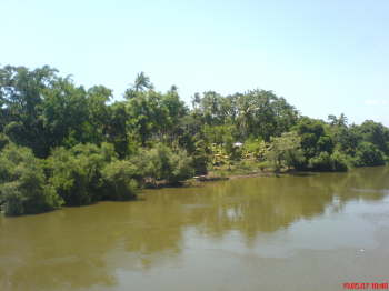 DSC00335