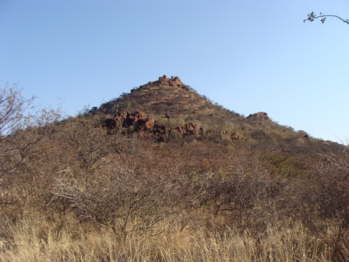 DSC00410