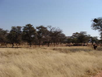DSC00412