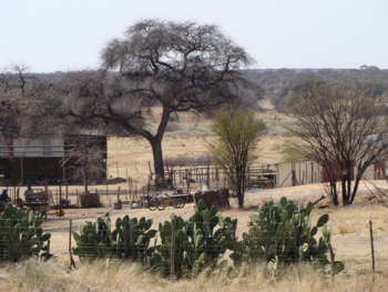 DSC00435