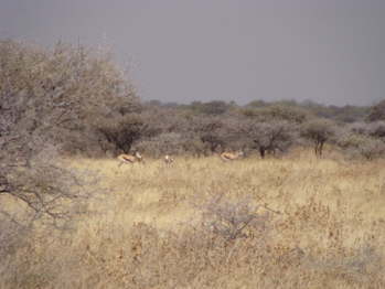 DSC00473