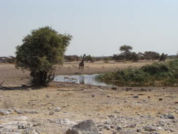 DSC00488
