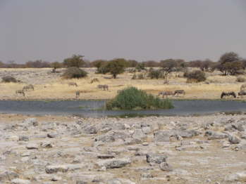 DSC00555