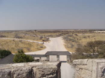 DSC00572