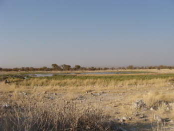 DSC00600
