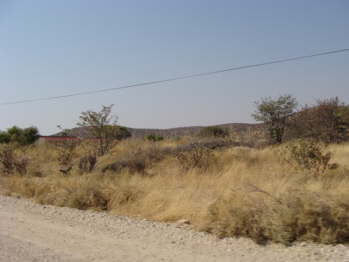 DSC00622
