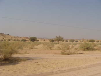DSC00641