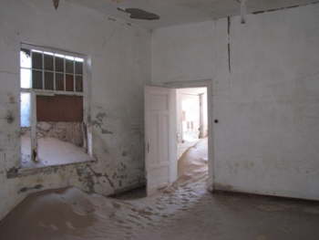 IMG_2810