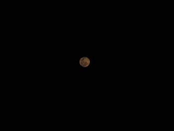 IMG_2854