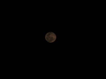 IMG_2860
